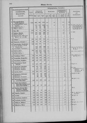 Oesterreich-09.djvu # 599