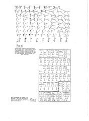Roesch_quant-Genealogie.djvu # 71