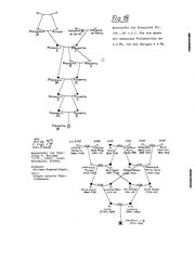 Roesch_quant-Genealogie.djvu # 74