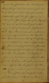 TagebuchMathiasLoehrer.djvu # 217