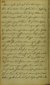 TagebuchMathiasLoehrer.djvu # 225