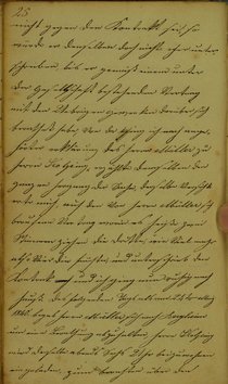 TagebuchMathiasLoehrer.djvu # 35